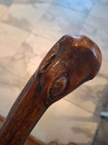 walking stick