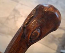 walking stick