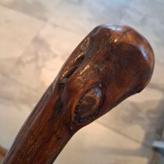 walking stick
