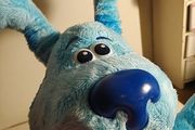 Blues Clues Peek a Boo