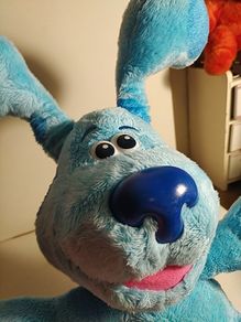 Blues Clues Peek a Boo