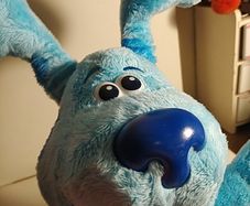 Blues Clues Peek a Boo