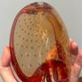 Art Glass Murano Style Bowl Image 9