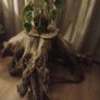 Tree trunk coffee table spectacular Image 2