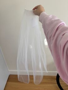 David's Bridal Veil