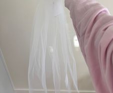 David's Bridal Veil