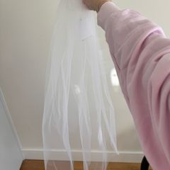 David's Bridal Veil