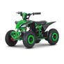 Mrf Mini 36v 1000w Kids Electric Quad Bike Image 3