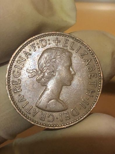 Elizabeth Halfpenny  x28 Pictures of each coin