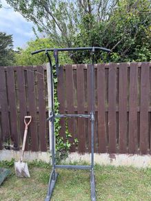 pull-up bar and dip station