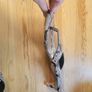 Sandals Snakeskin Size 6 Image 5
