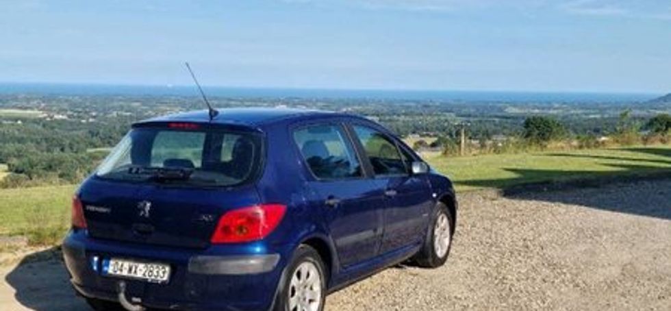 Peugeot 307 1.4 2004