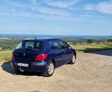 Peugeot 307 1.4 2004