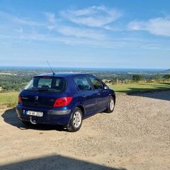 Peugeot 307 1.4 2004