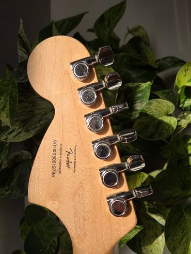 Squier Standard Series Stratocaster