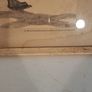 2 Henri de Toulouse-Lautrec Circus Lithographs Image 2