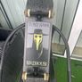 Tony Hawk Birdhouse Image 4