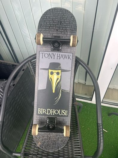Tony Hawk Birdhouse