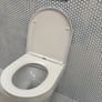 Wall hung toilet & frame Image 3