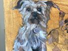 Pet Portrait Commissions Image 7