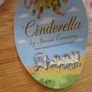 Cinderella Dress for Sale Image 4