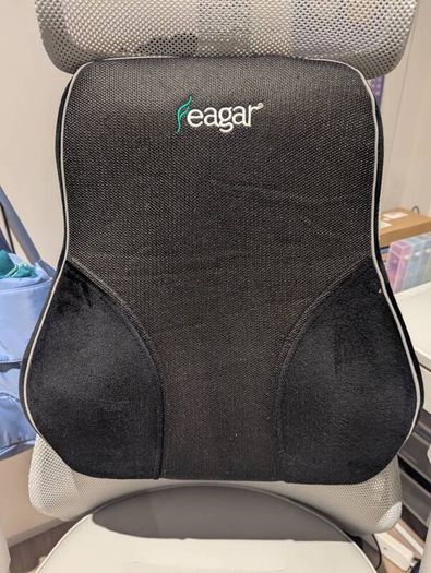 Feagar Seat Cushions for Office Chair - Orthopedic Ergonomic Memory Foam Coccyx Seat Sciatica Cushion and Feagar Lumbar Pillows Back Support Cushions Memory Foam Pillows for Car Seat Office Chair Home Sofa or Couch, Low Back Pillow Chair Cushions with Ext
