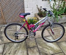 Bike For Sale