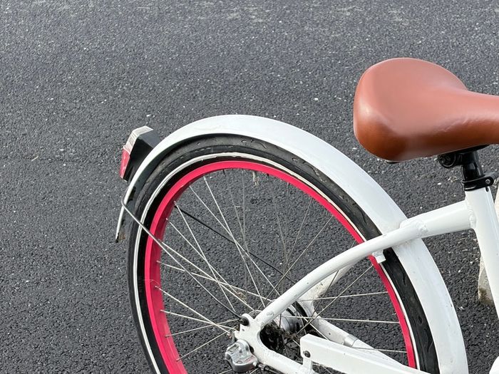 Popal dutch female city Bike