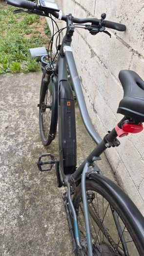 Electric hybrid bike