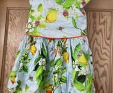 Ted Baker Girls Dress 3-4
