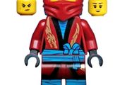 Lego NYA Minifigure Lego Ninjago Lego Minifigure