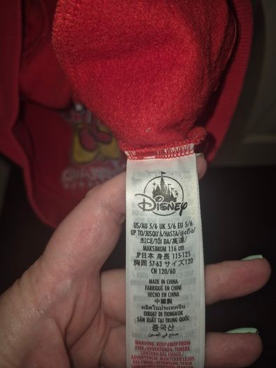 Disneyland paris mini hoodie