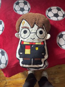 harry potter cushion