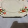 Thomas Hughes and son Fine Bone china plates Image 5