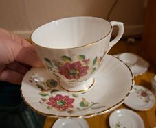 19 Piece Royal Tara Fine Bone China