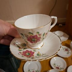 19 Piece Royal Tara Fine Bone China