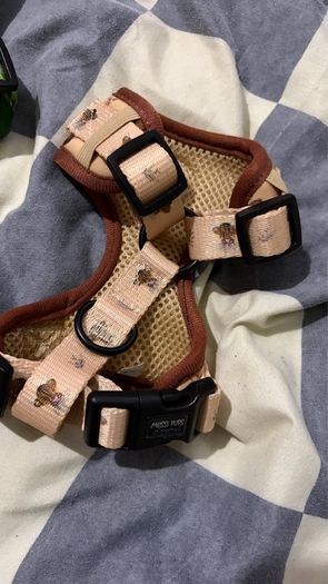 dog harness
