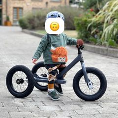 Trybike child bike 2 in 1