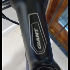 Jiant