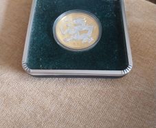 Chinese Millenium Dragon Coins