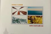 Cormac O'Caoimh - Swim Crawl Walk Run. Printed inner sleeve. Acclaimed Irish singer-songwiter and independent Irish released LP. As new. Played once.