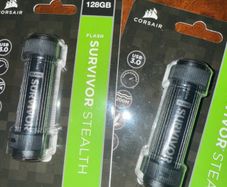 Corsair survivor USB sticks (pair)