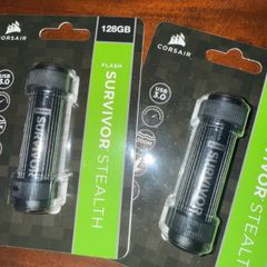 Corsair survivor USB sticks (pair)
