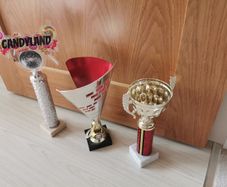 Dance Trophies x 3