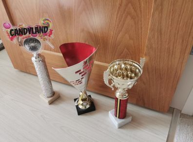 Dance Trophies x 3