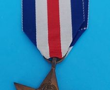 World War 2 France And Germany Star