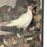 taxidermy pheasants and chicks Image 6