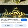 fish tank Image 8