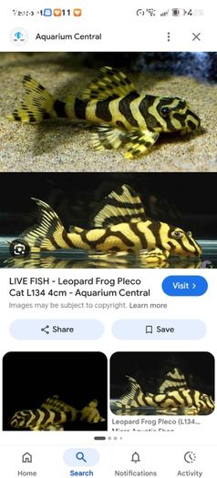 fish tank