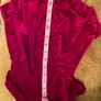Red Velour Dog Dress Image 3